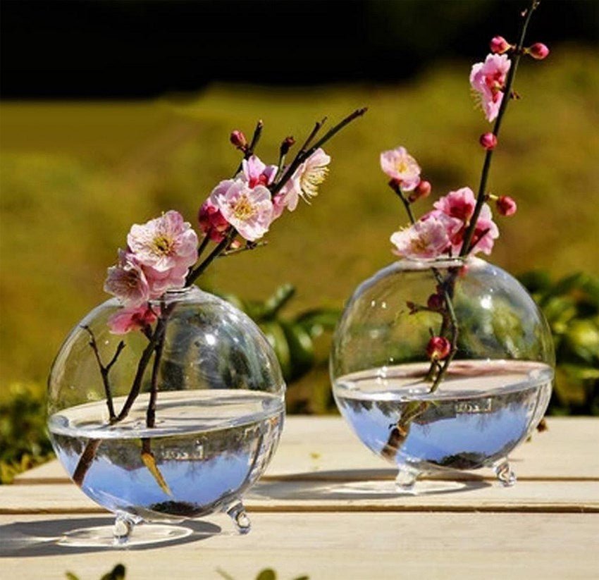 Clear Glass Ball Vase