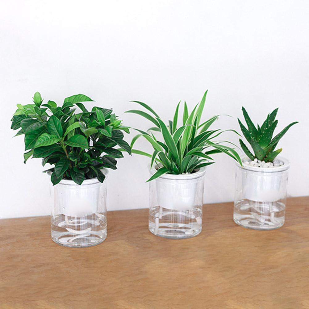 Self-watering Pot - Aleo Decor