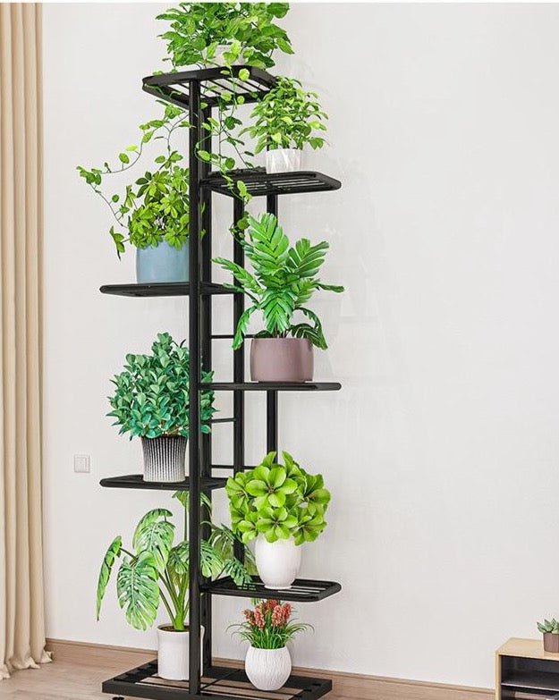 Storage Shelf - Aleo Decor