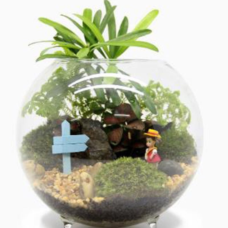 Clear Glass Ball Vase - Aleo Decor