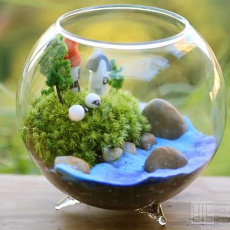 Clear Glass Ball Vase - Aleo Decor