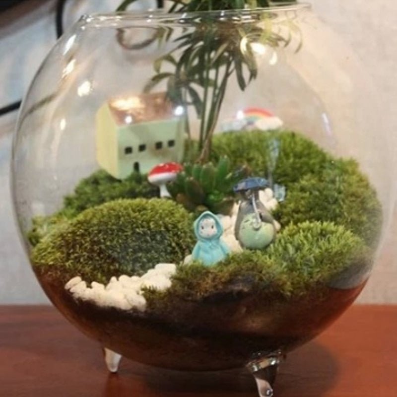 Clear Glass Ball Vase - Aleo Decor
