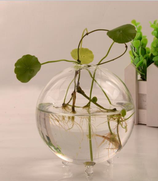 Clear Glass Ball Vase - Aleo Decor