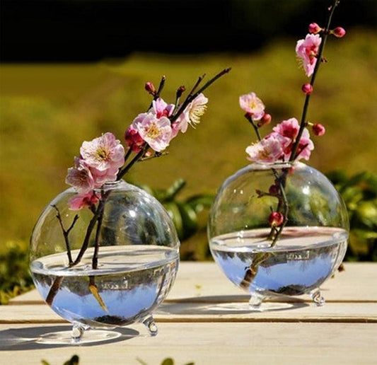 Clear Glass Ball Vase - Aleo Decor