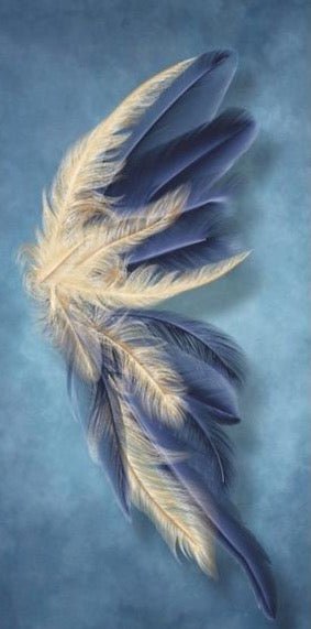 Feathery Butterfly - Aleo Decor