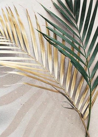 Golden Palm - Aleo Decor