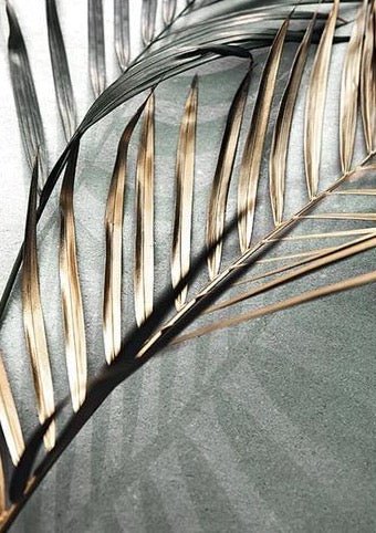 Golden Palm - Aleo Decor