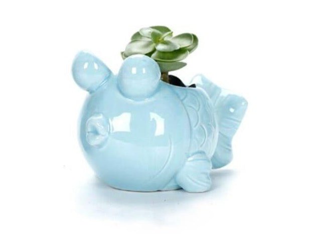 Ocean Pots - Aleo Decor