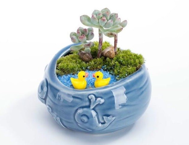 Ocean Pots - Aleo Decor