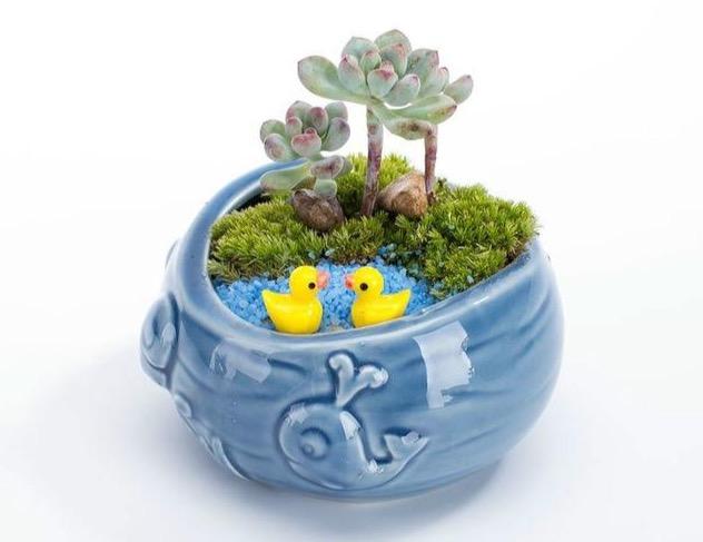 Ocean Pots - Aleo Decor