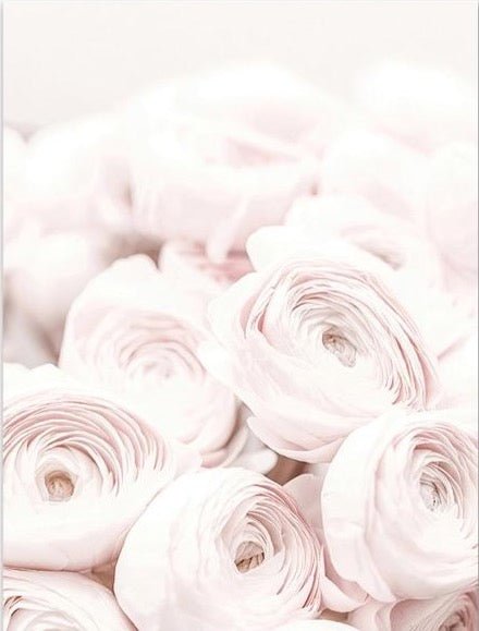 Pink Peony - Aleo Decor