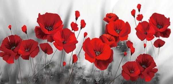 Red Poppies - Aleo Decor