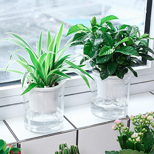 Self-watering Pot - Aleo Decor