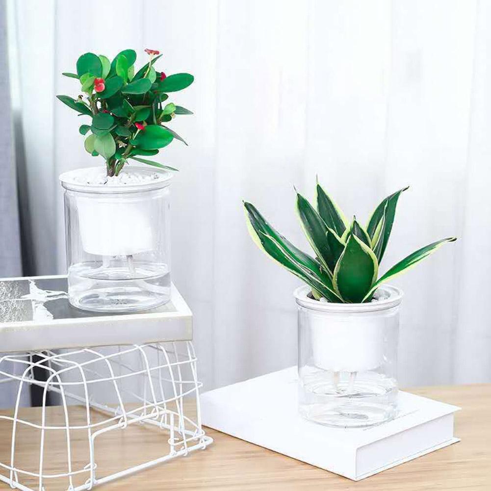 Self-watering Pot - Aleo Decor