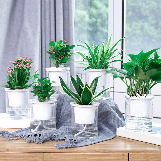 Self-watering Pot - Aleo Decor