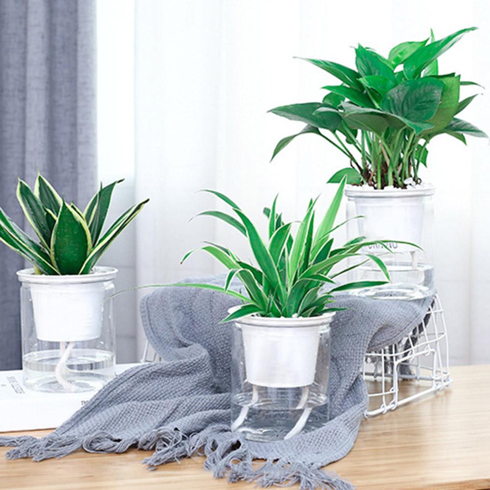 Self-watering Pot - Aleo Decor