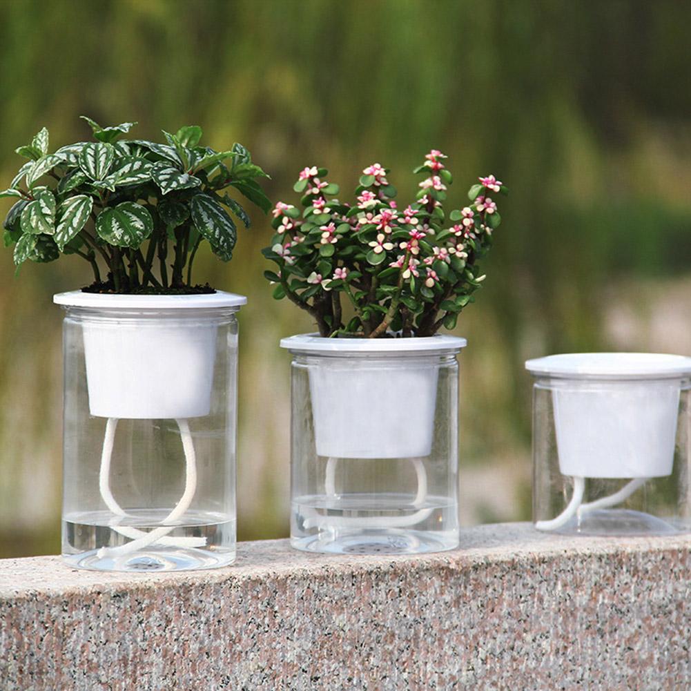 Self-watering Pot - Aleo Decor