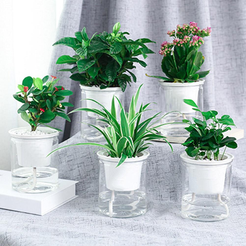 Self-watering Pot - Aleo Decor