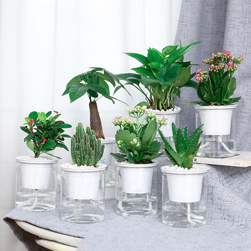 Self-watering Pot - Aleo Decor