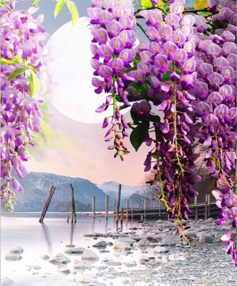 Swan Lake - Aleo Decor