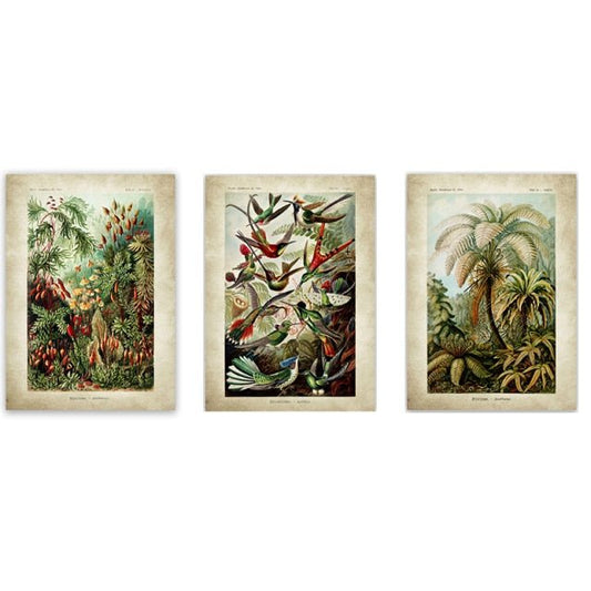 Tropical Jungle - Aleo Decor