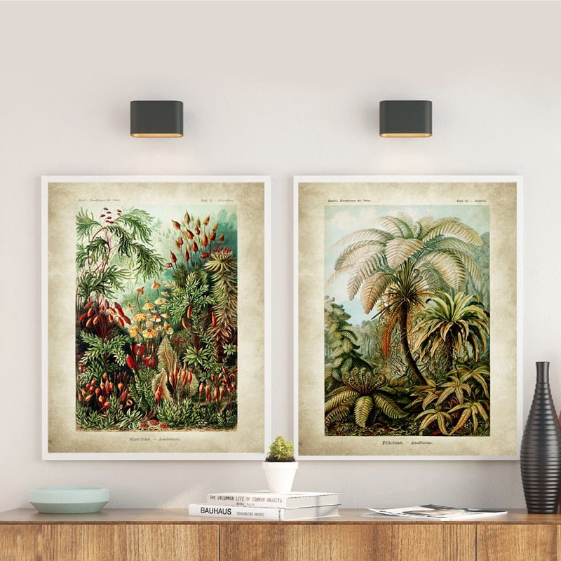 Tropical Jungle - Aleo Decor