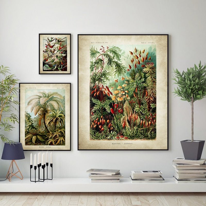 Tropical Jungle - Aleo Decor